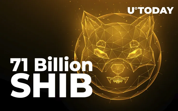 71 Billion SHIB Added by Major Investor as SHIB Returns as Whales' Biggest Holding