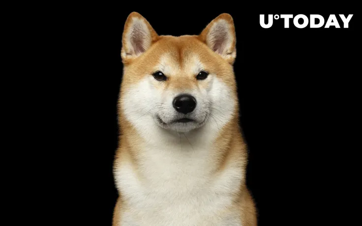 Shiba Inu Can Now Be Used to Purchase Land in SHIB's Metaverse: Details