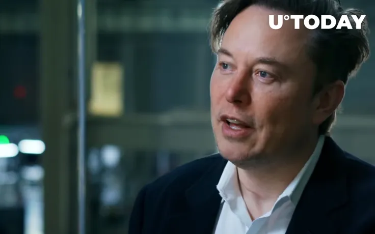 Elon Musk's Twitter Profile Picture Now Features Bored Apes – "Seems Kind of Fungible"