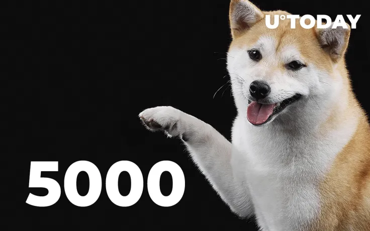 Shiba Inu Gains Thousands of New Holders in Days as Total Number of Landowners Rises Above 5,000