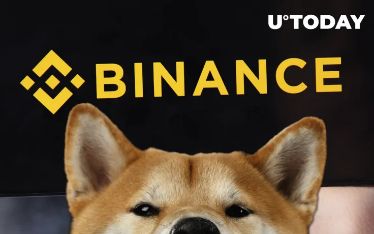 New Shiba Inu Trading Pair Lists on Binance: Details