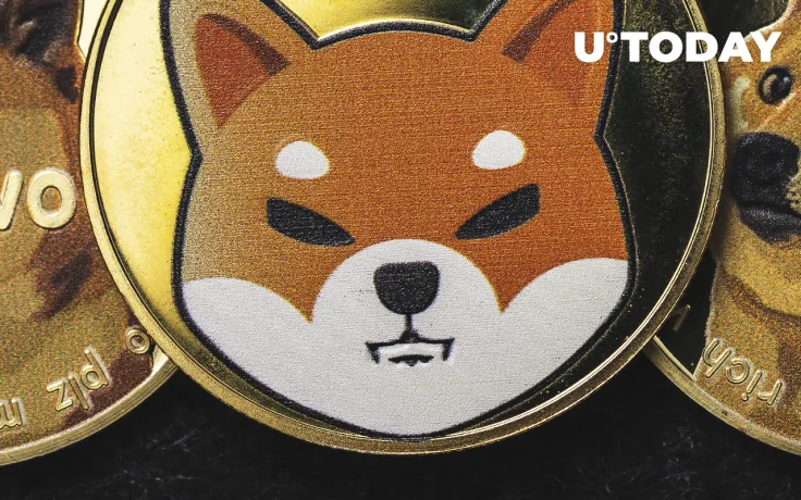 "SHIB Has a Great Model," David Gokhshtein Believes Next 12 Months Might Be Key for Shiba Inu