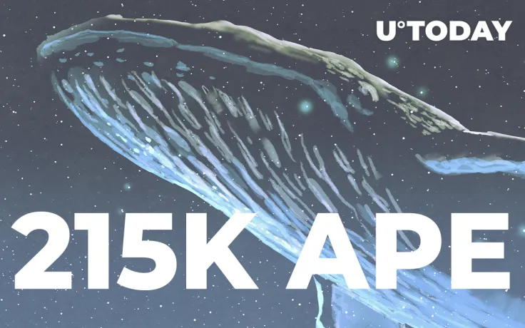 Whale Grabs 215,000 APE as It Becomes Most-Traded Token: Report