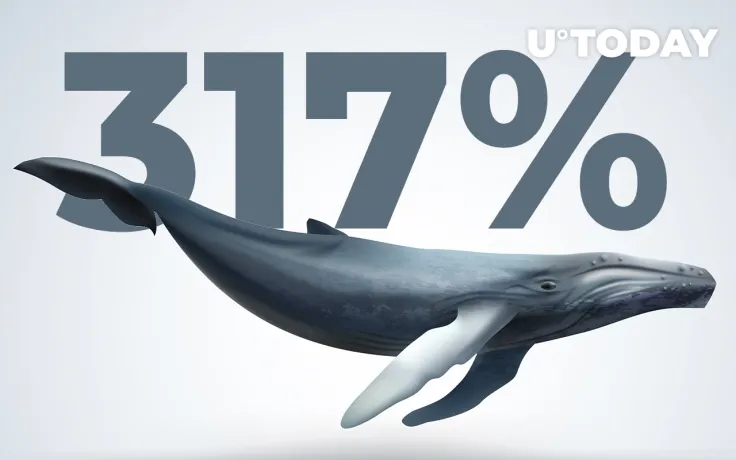 Trading Volumes Spike Above 317% as Shiba Inu Whales Increase Activity