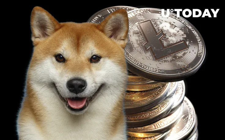 Litecoin Founder Adds Shiba Dog to His Twitter Background Image, Praising Dogecoin