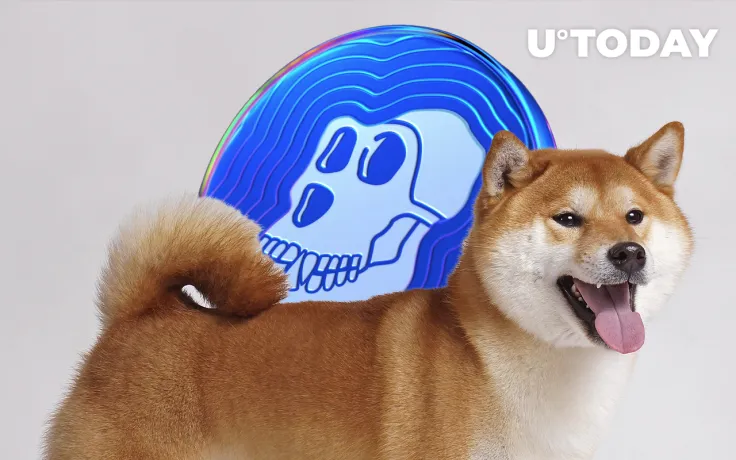 1.2 Million of Most-Traded Coin APE Bought by Major SHIB Investor, His APE Stash Grows 