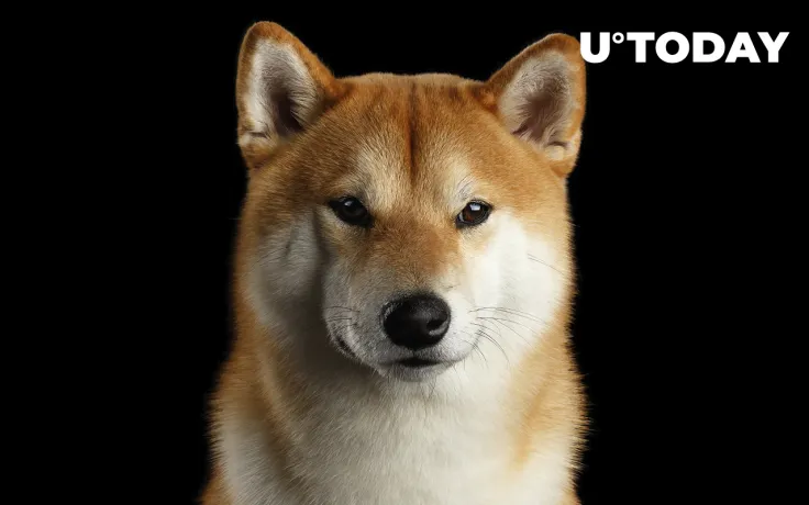 Shiba Inu Holders Increase in Number, Price Nears Historic "Buying" Zone