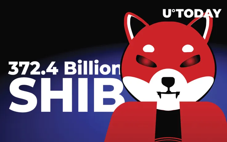 Investors Grab 372.4 Billion SHIB as It Flips FTT for Biggest Whale Holding in USD