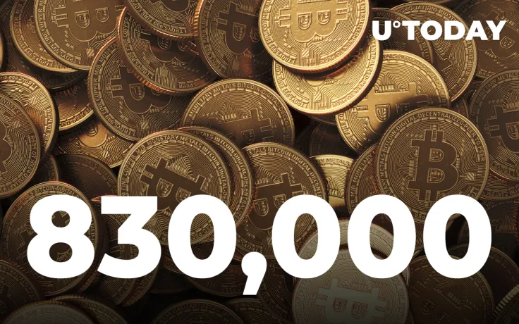Bitcoin Addresses with 1 BTC Surpass 830,000 as Number of Retail Investors Grows