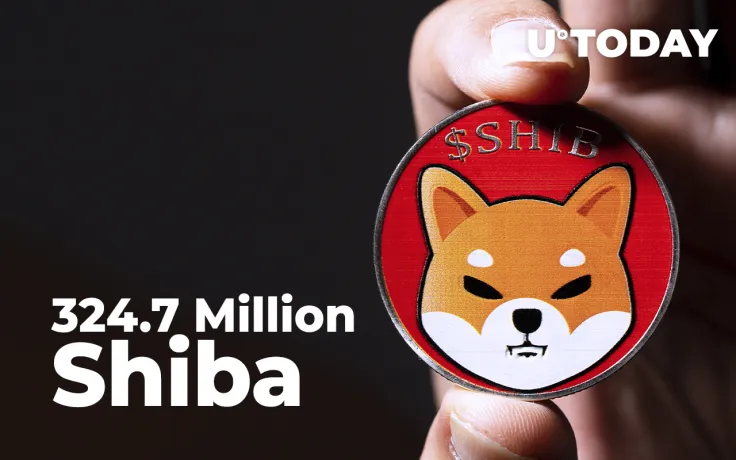 SHIB Army Burns 324.7 Million Shiba in Past 24 Hours, Report Says