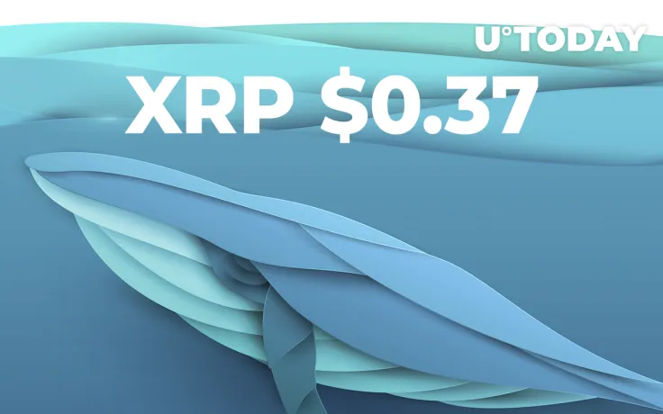 XRP Declines to $0.37 as Whales Move 440.3 Million Tokens
