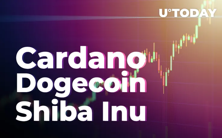 Cardano, Dogecoin, Shiba Inu Post Double-Digit Gains as Market Rebounds