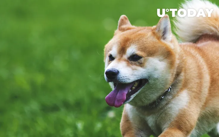 Shiba Inu Holders Keep Adding as Community Hits New Milestones