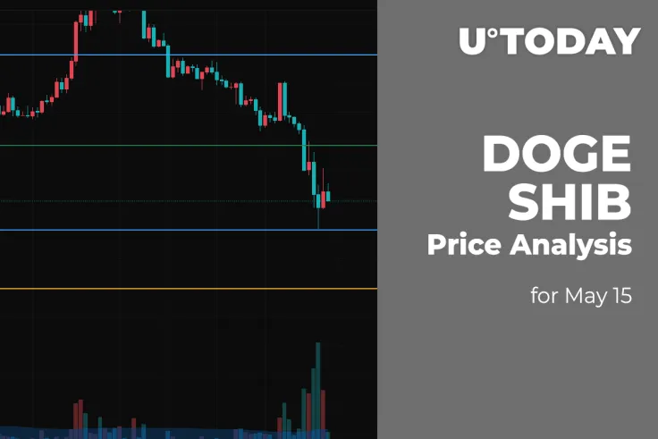 DOGE and SHIB Price Analysis for May 15