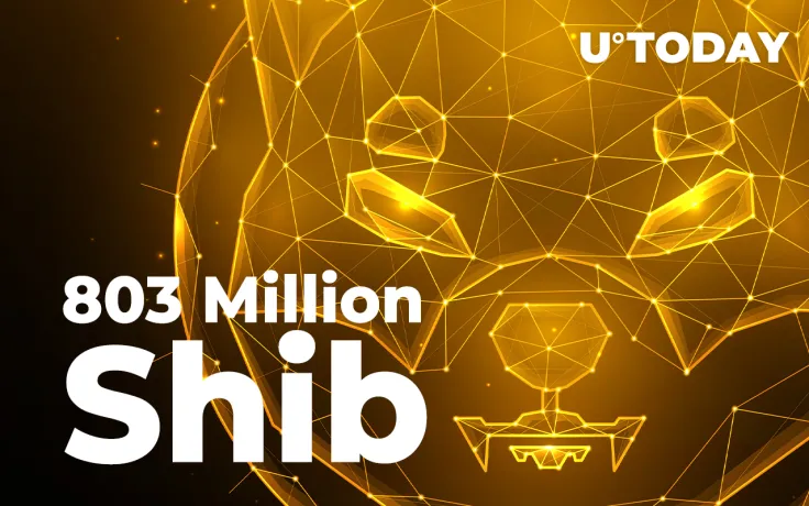 SHIB Army Burns 803 Million Shiba in 2 Hours, 272.5 Million Since Yesterday Morning