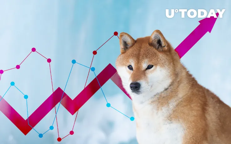 Shiba Inu Rises 10% as Price Rebounds from Key Support