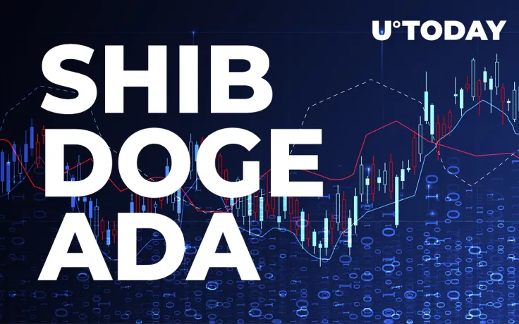 New SHIB, DOGE, ADA Pairs Launched by This Major Exchange: Details