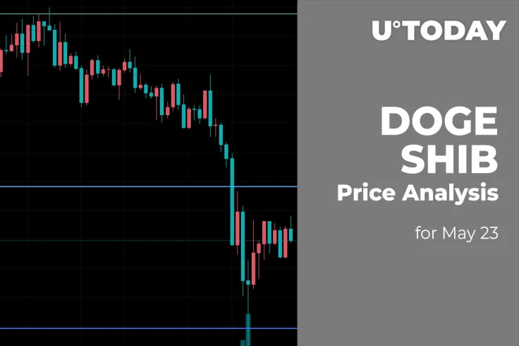 DOGE and SHIB Price Analysis for May 23
