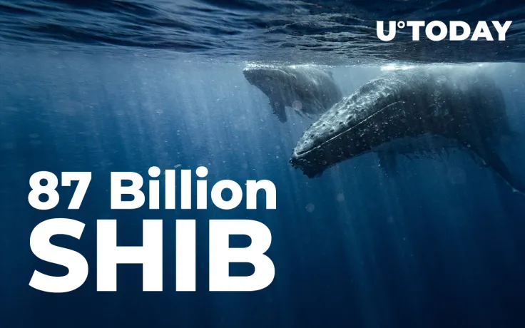 Whale Buys 87 Billion SHIB, While Shiba Balance of Top Investors Shrinks