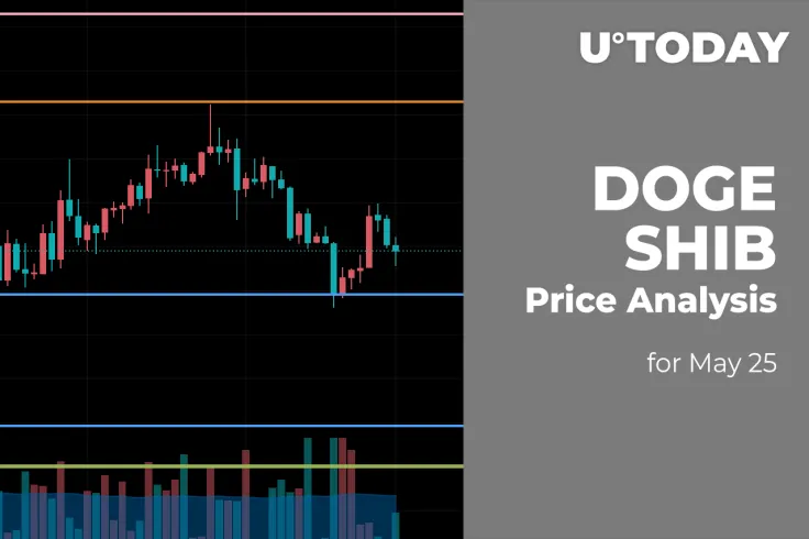 DOGE and SHIB Price Analysis for May 25