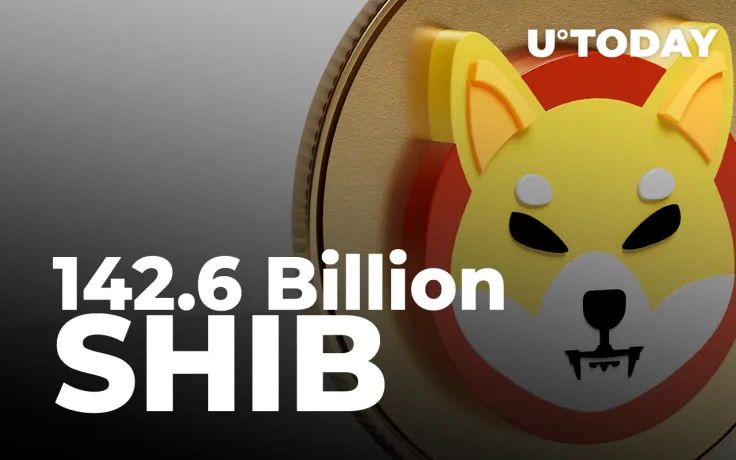 142.6 Billion SHIB Purchased by Investor as Whales' Shiba Balance Falls Below $500 Million