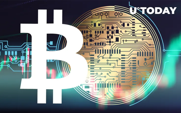 Will Bitcoin and Altcoins Bottom Together in This Cycle? Veteran Analyst Shares His Views