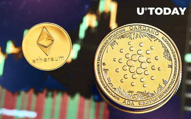 Cardano Network Has 4 Times More Active Users Than Ethereum in Percentage Terms