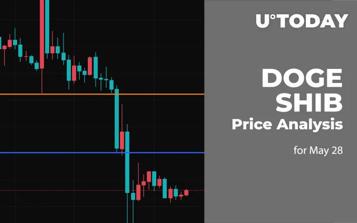 DOGE and SHIB Price Analysis for May 28