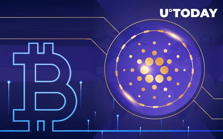 Cardano Has Potential to Become Scarce Asset Like Bitcoin: Community