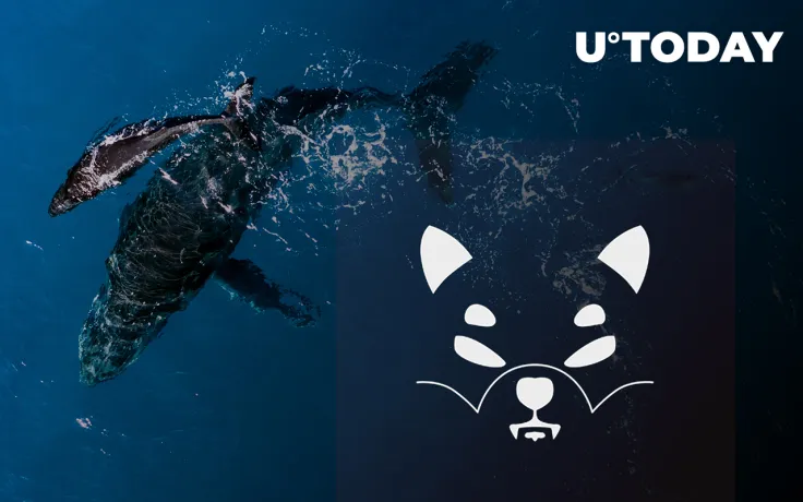 Shiba Inu Large Transactions Up by 122%, Owing to Surge in Whales' Interest in SHIB