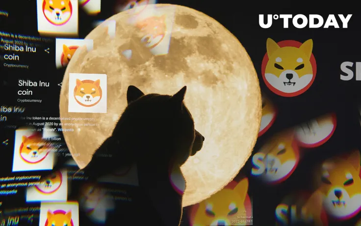 Shiba Inu Whale's Trading Volume Spikes 341% with Over 33,000 New SHIB Holders in May