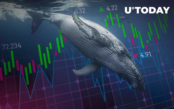 WAVES Jumps 27% After Vote to Liquidate USDN Whales' Accounts Gets Massive Support