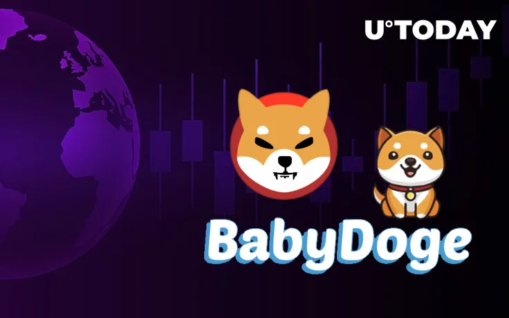 BabyDoge Holder Count Soars to 1.5 Million ATH, Surpassing Shiba Inu