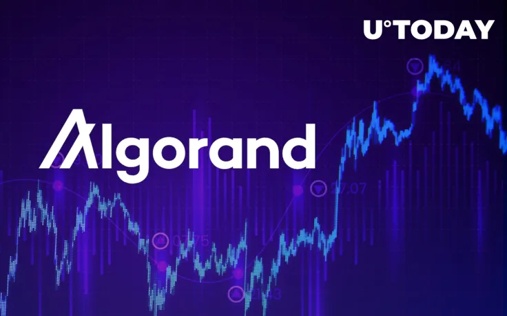 Algorand Funds See Record-Breaking Weekly Inflows