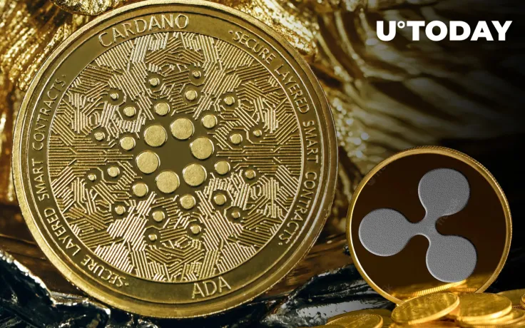 Cardano Beats Ripple by Market Cap: CoinMarketCap