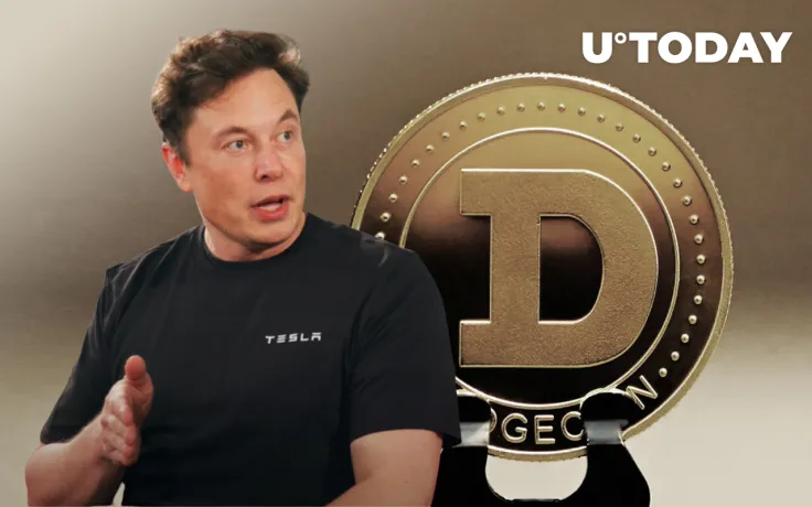 Elon Musk Slams Dogecoin Creator Over Claims of Twitter Bot Solution