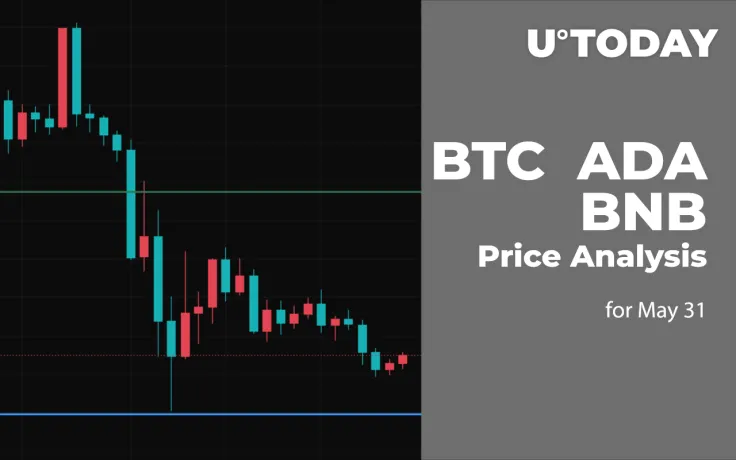 BTC, ADA and BNB Price Analysis for May 31