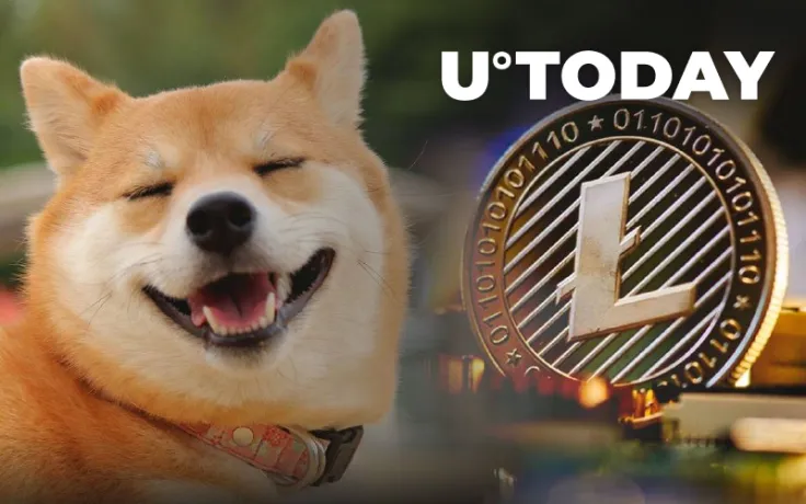 Shiba Inu Major Developer Trolls LTC, Litecoin Responds