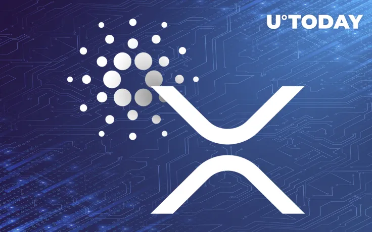 Cardano (ADA) Spikes 8%, Surpassing XRP 