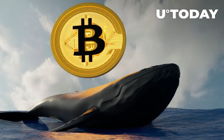 Bitcoin Whales Now Control 45.6% of BTC Supply & Continue to Aggressively Accumulate