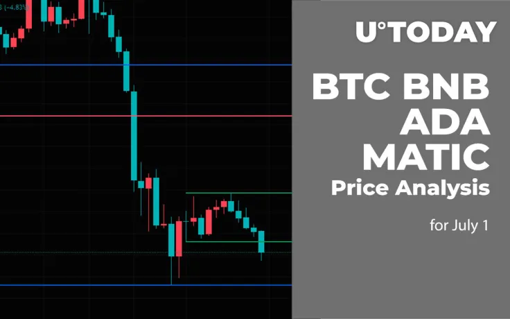 BTC, BNB, ADA and MATIC Price Analysis for July 1