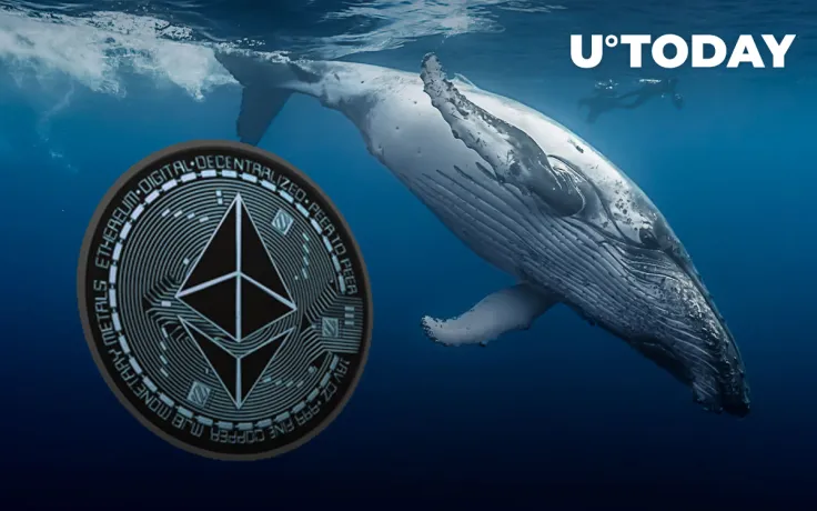 Ethereum's 39% Price Decrease Is Accompanied by Large-Scale Whales' Purchases