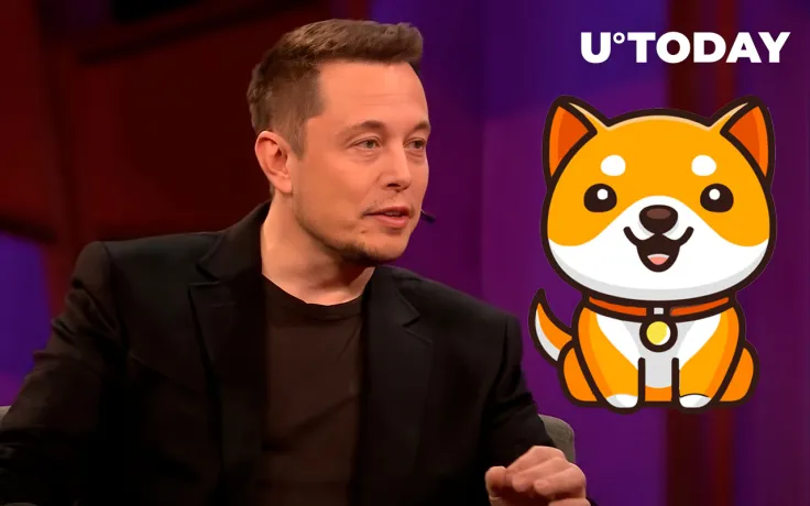 "Forever Grateful": BabyDoge Community Celebrating Anniversary of Musk Tweet