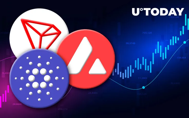 Cardano, Tron and Avalanche Post Price Gains as Altcoins See Relief Rally