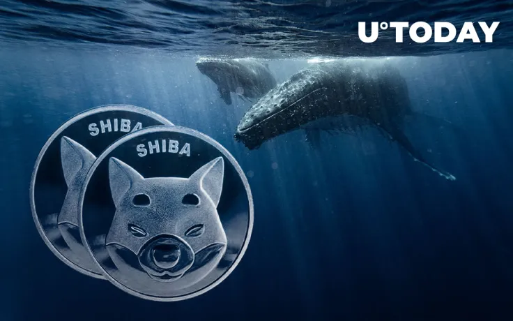 18.8 Million Dogecoin Bought by Whale with 40 Million XRP