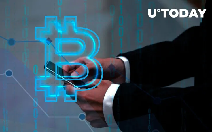 Small Bitcoin Investors Actively Accumulate Cryptocurrency