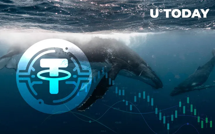 This Is Why Cryptocurrency Market Can't Go Up: Tether Whales' Supply