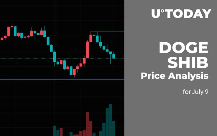 DOGE and SHIB Price Analysis for July 9
