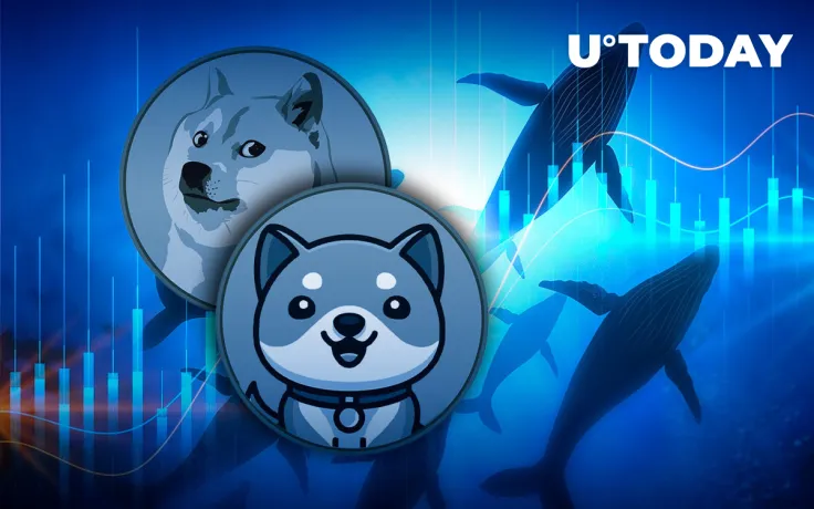 Meme Coins BabyDoge, Dogecoin Chosen by BSC Whales as Top Smart Contracts