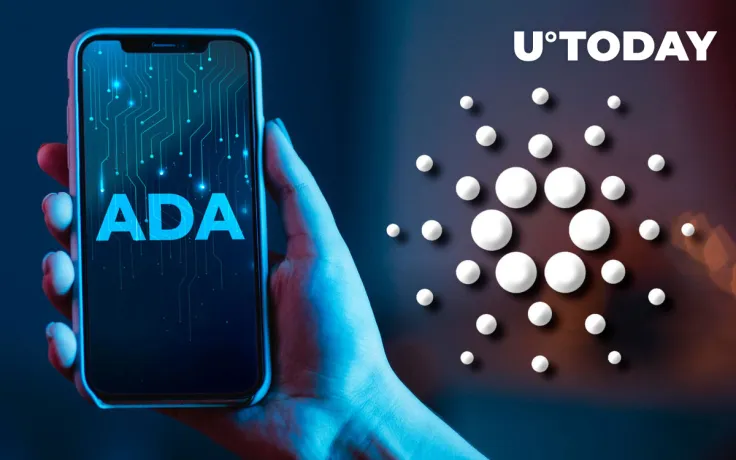 79.1 Million ADA Bought by These Investors, While Bigger Whales Stop Dumping Cardano